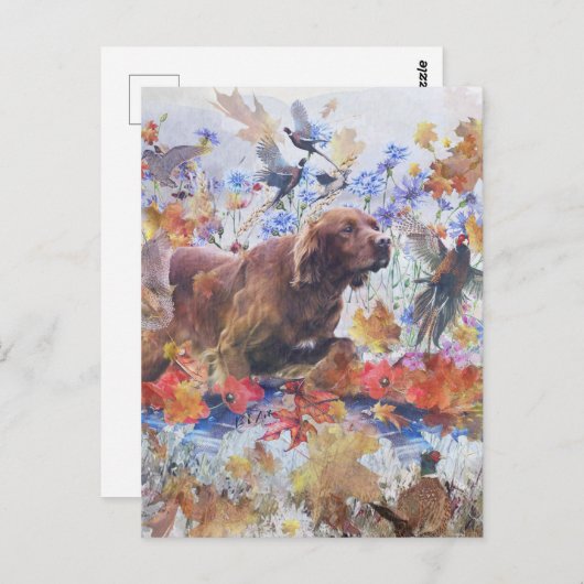 Irish Setter Jagd Postkarte (Vorne/Hinten)