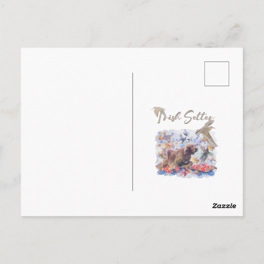 Irish Setter Jagd Postkarte (Rückseite)