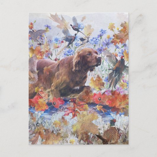Irish Setter Jagd Postkarte (Vorderseite)