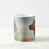 Irish Setter Kaffeetasse (Mittel)