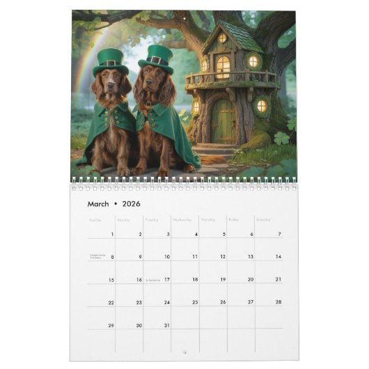 Irish-Setter-Kalender Kalender (Mär 2026)
