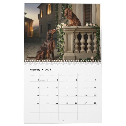 Irish-Setter-Kalender Kalender (Feb 2026)