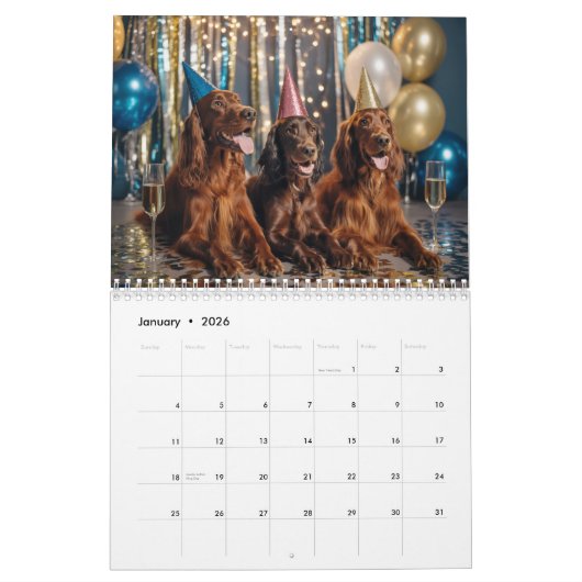 Irish-Setter-Kalender Kalender (Jan 2026)