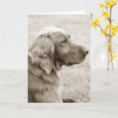 Irish Setter Karte (Gelbe Blume)