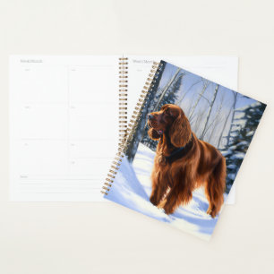 Irish Setter Lass es schneien Weihnachten Planer