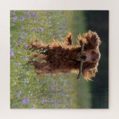 Irish Setter läuft mit einem Stock Puzzle (Horizontal)