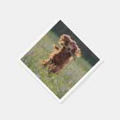 Irish Setter läuft mit einem Stock Serviette (Ecke)