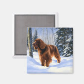 Irish Setter Let It Snow Weihnachten Magnet (Vorderseite/Rückseite)