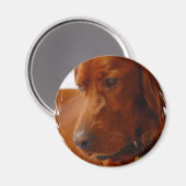 Irish Setter Magnet (Vorderseite/Rückseite)