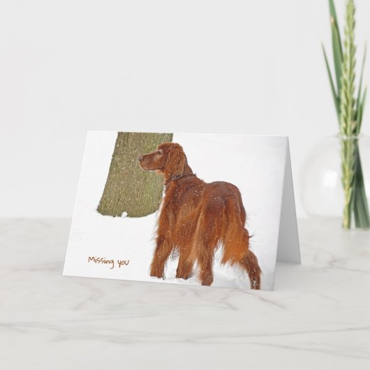 Irish Setter Miss You Karte (Vorderseite)