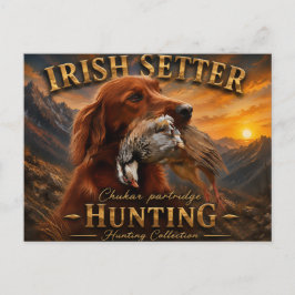 Irish Setter mit Chukar Rebhuhn ,Art Postkarte