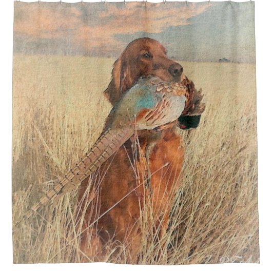 Irish Setter mit Fasan Duschvorhang (Vorderseite)