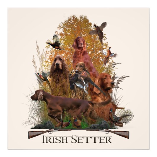 Irish Setter mit Fasan Fotodruck (Vorne)