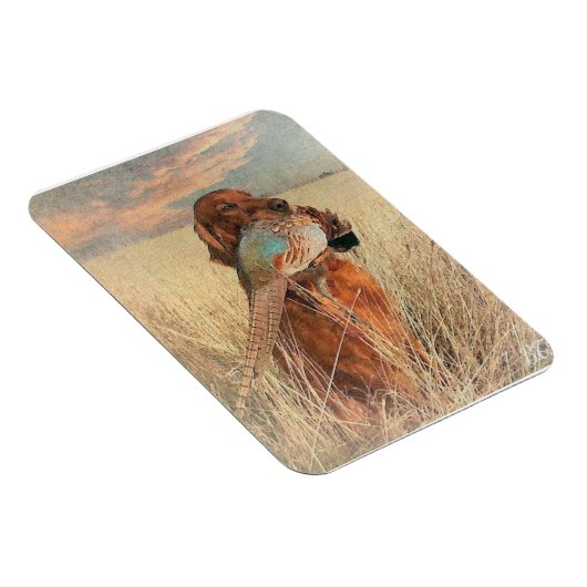 Irish Setter mit Fasan Magnet (Rechte Seite)