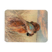 Irish Setter mit Fasan Magnet (Horizontal)