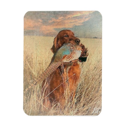 Irish Setter mit Fasan Magnet (Vertikal)
