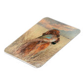 Irish Setter mit Fasan Magnet (Linke Seite)