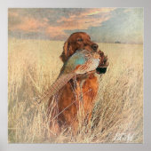 Irish Setter mit Fasan Poster (Vorne)