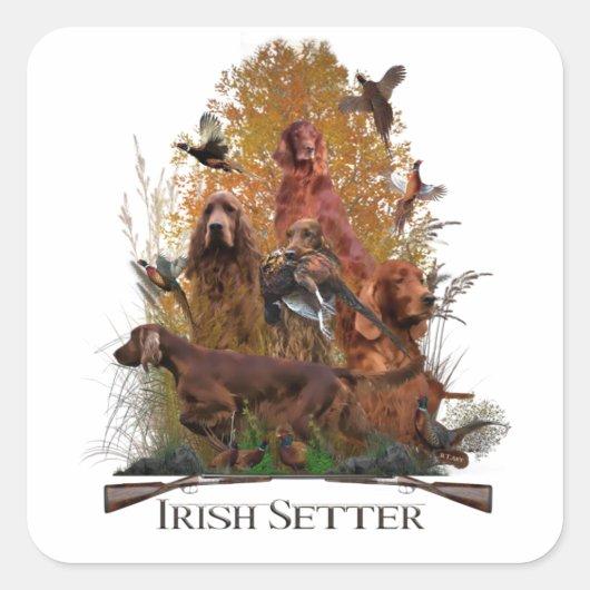 Irish Setter mit Fasan Quadratischer Aufkleber (Vorderseite)