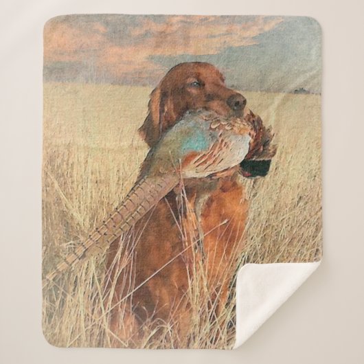 Irish Setter mit Fasan Sherpadecke (Vorderseite)