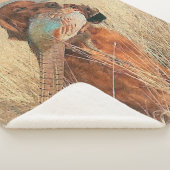 Irish Setter mit Fasan Sherpadecke (3/4)