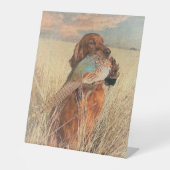Irish Setter mit Fasan Sockelschild (Vorderseite)