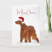 Irish Setter mit Weihnachtshut Karte (Vorderseite)