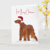 Irish Setter mit Weihnachtshut Karte (Gelbe Blume)
