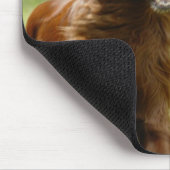 Irish Setter Mousepad (Ecke)