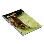 Irish Setter Notizblock (Rechte Seite)