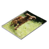 Irish Setter Notizblock (Linke Seite)