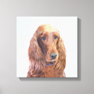 Irish Setter Painting - Niedliche Original Dog Art Leinwanddruck