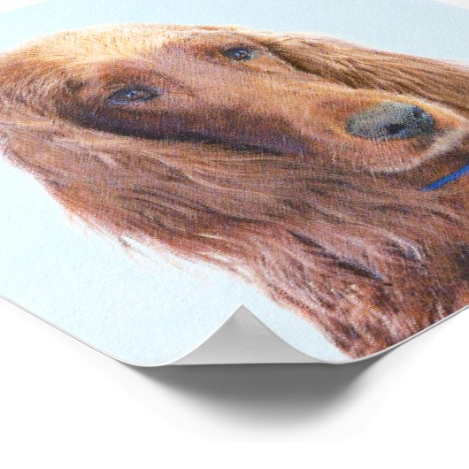 Irish Setter Painting - Niedliche Original Dog Art Poster (Ecke)