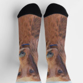 Irish Setter Painting - Niedliche Original Dog Art Socken (Oben)