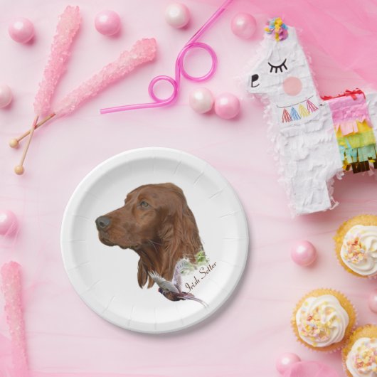 Irish Setter Pappteller (Party)