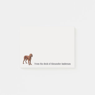 Irish Setter Personalisieren Post-it Klebezettel