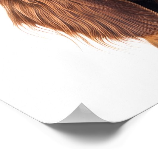 Irish Setter Personalisiert Print Poster (Ecke)