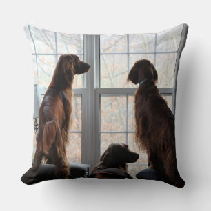 Irish Setter Pillow Kissen