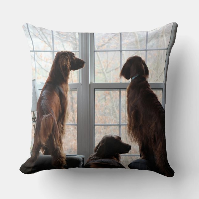 Irish Setter Pillow Kissen (Vorderseite)