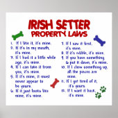 IRISH SETTER PL2 POSTER (Vorne)