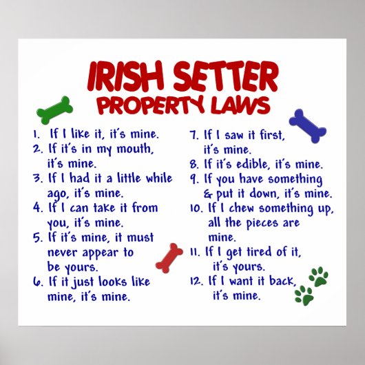 IRISH SETTER PL2 POSTER (Vorne)