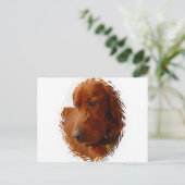 Irish Setter Postcard Postkarte (Stehend Vorderseite)