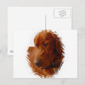 Irish Setter Postcard Postkarte (Vorne/Hinten)