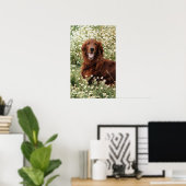 Irish Setter Poster (Heimbüro)