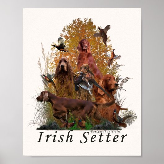 Irish Setter Poster (Vorne)