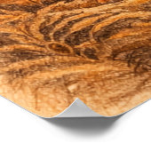 Irish Setter,  Poster (Ecke)