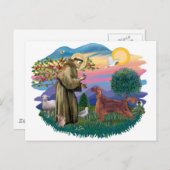 Irish Setter Postkarte (Vorne/Hinten)