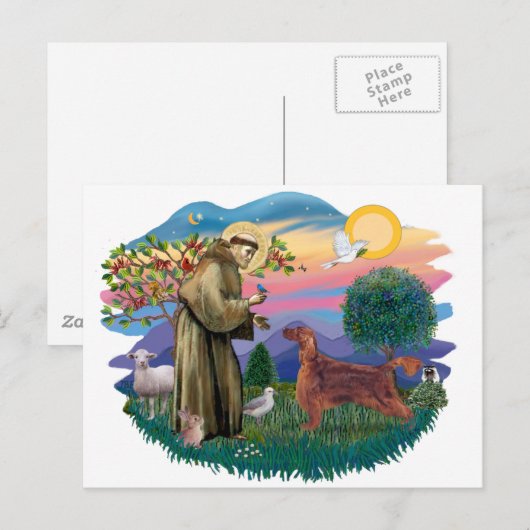 Irish Setter Postkarte (Vorne/Hinten)