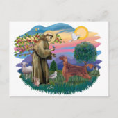 Irish Setter Postkarte (Vorderseite)