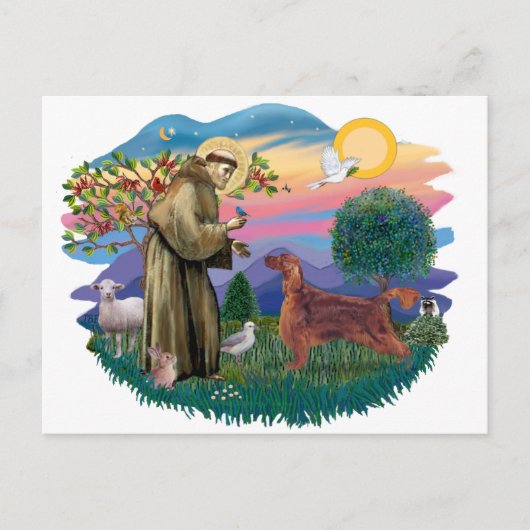 Irish Setter Postkarte (Vorderseite)